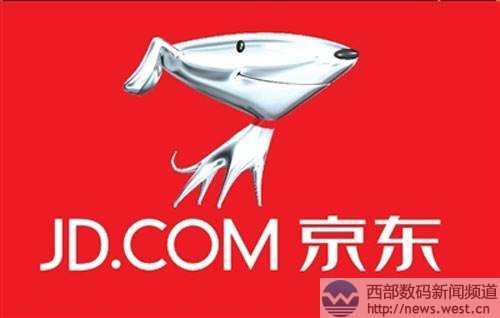 京东收购双拼域名pifa.com