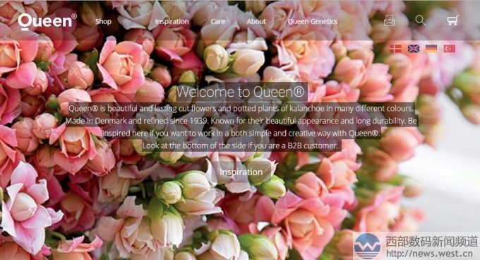 �ʻ��ն˱��з���ٳ����������۳�800���Queen.com�Թ���������